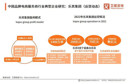 2023年中國品牌電商服務商行業研究報告 信息技術咨詢服務的機遇與挑戰