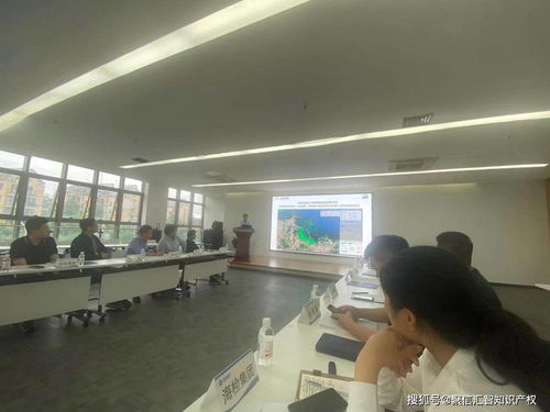 讓科技服務(wù)成為科技創(chuàng)新的助燃劑——信息技術(shù)咨詢服務(wù)的價(jià)值與路徑